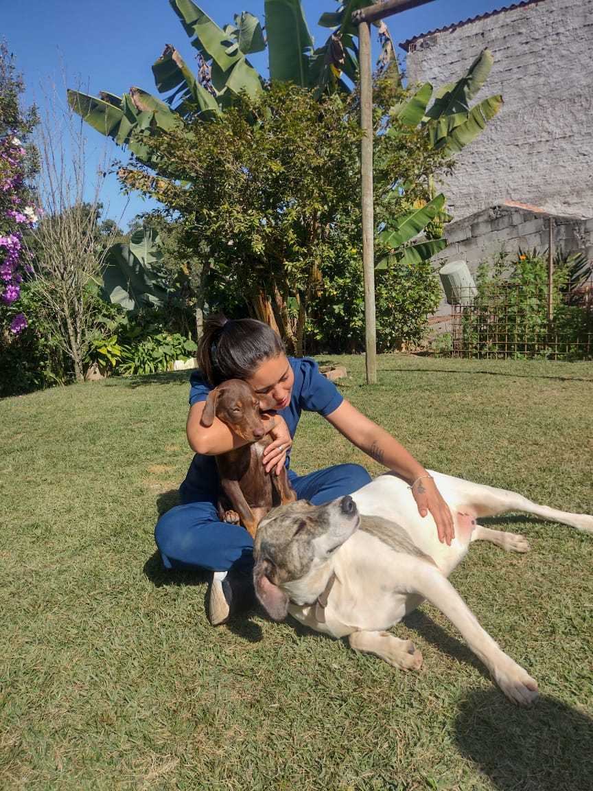 Foto da Galeria