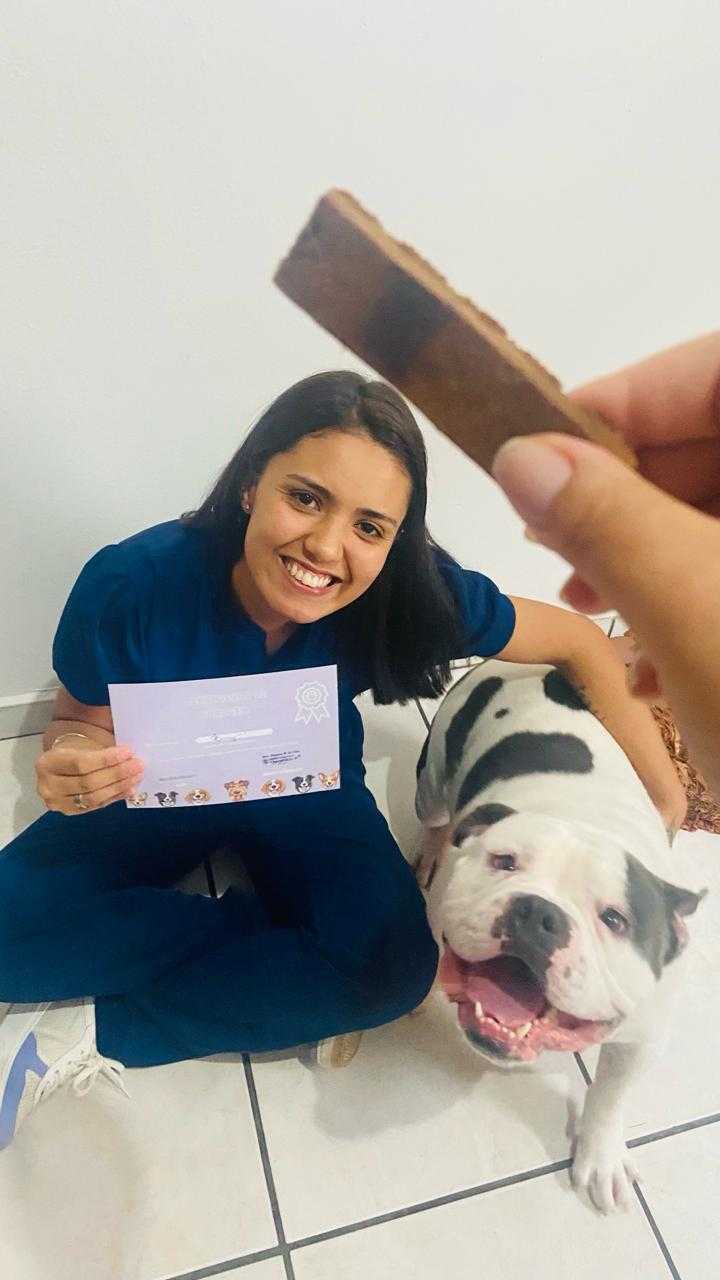 Foto da Galeria