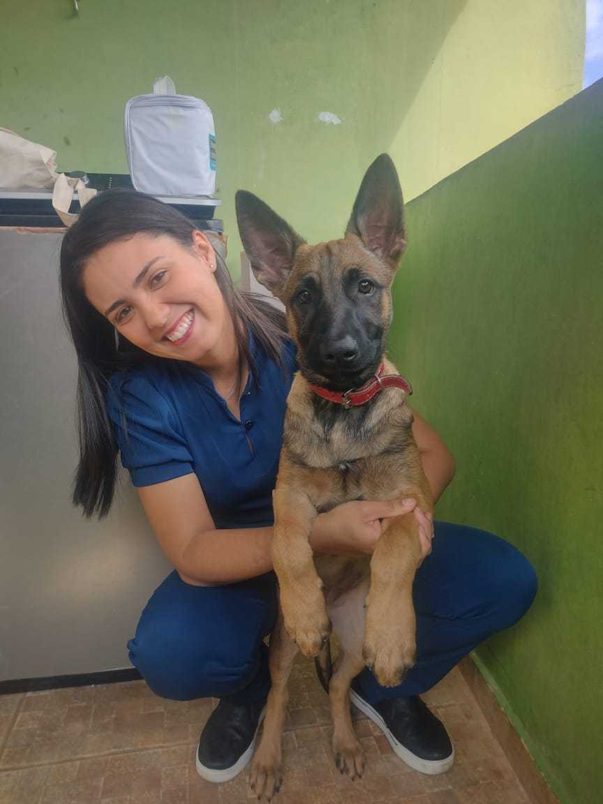 Foto da Galeria